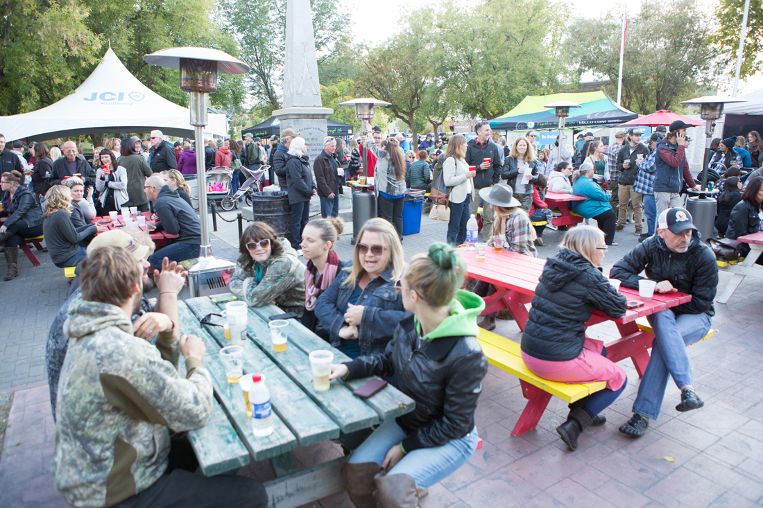 Image of a crowded rotary park during a local festival in Cranbrook